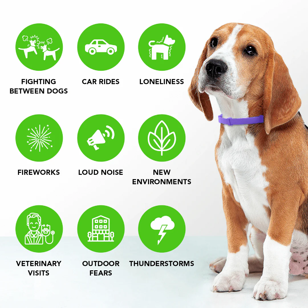 FurPetz™ - Natural Pheromone Calming Collar for Dogs