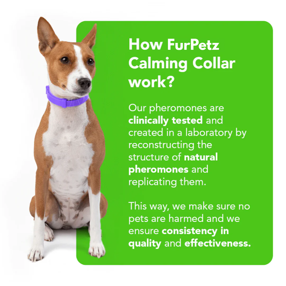 FurPetz™ - Natural Pheromone Calming Collar for Dogs
