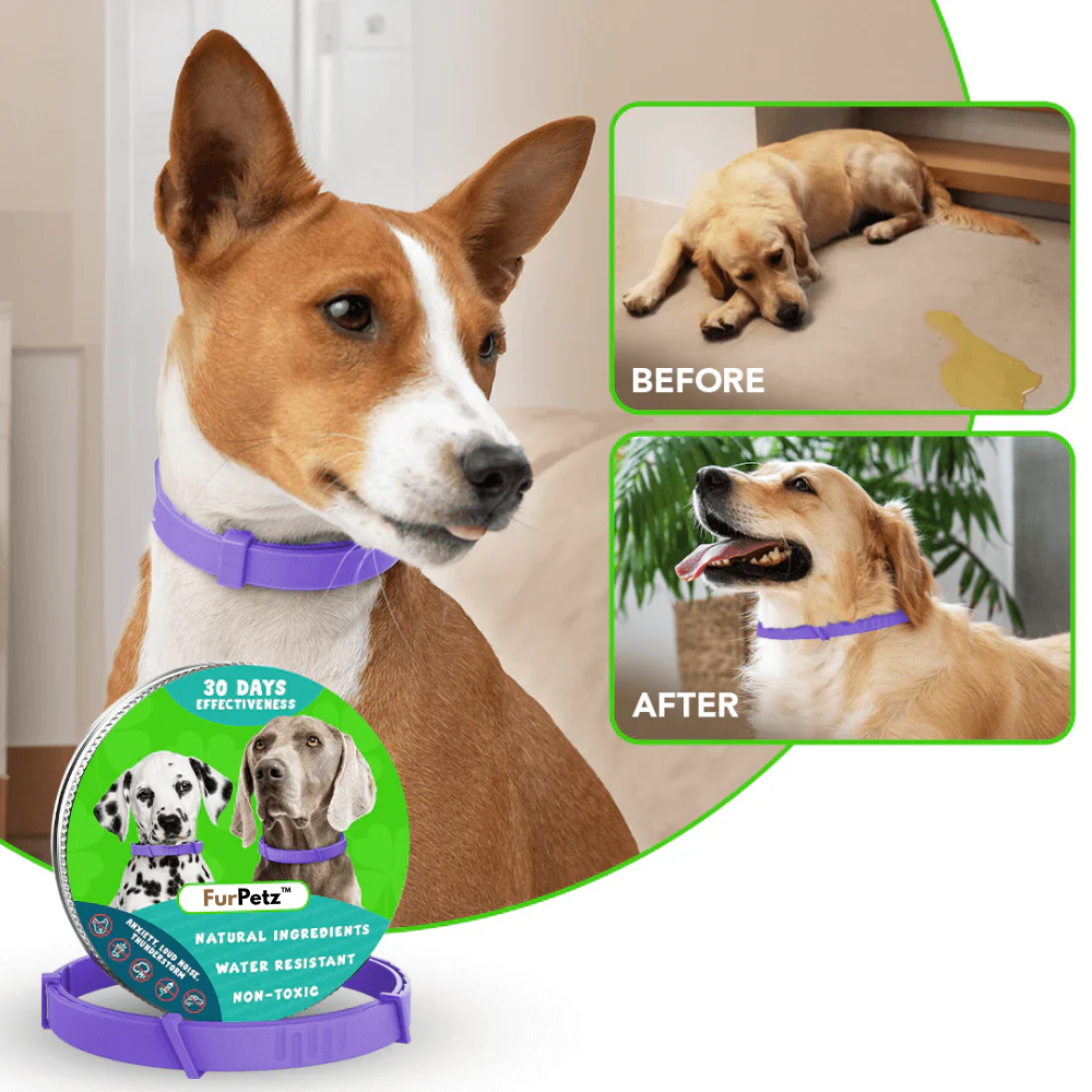 FurPetz™ - Natural Pheromone Calming Collar for Dogs